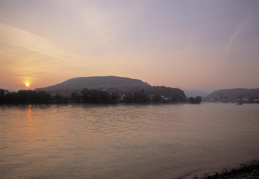 Hotel Bellevue Rheinhotel 4*